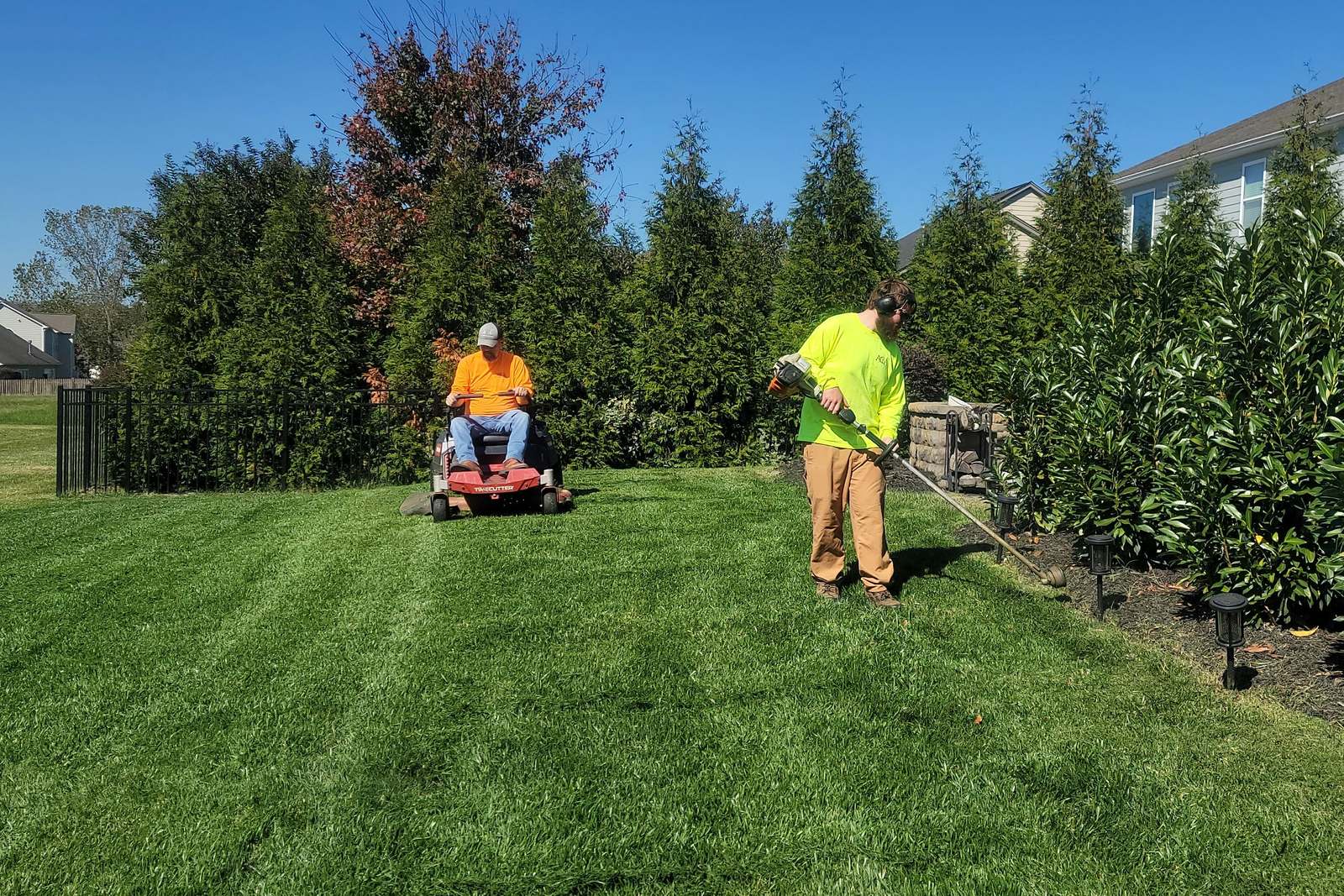 A two-person landscaping crew on a freshly striped residential lawn — one riding a zero-turn mower, the other string-trimming the edge of a shrub bed in hi-vis and ear defenders
